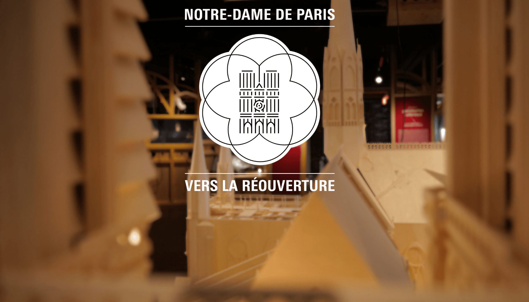 La Nuit des Musées 2025 : Quand la Science Prend Vie sous les Étoiles !
