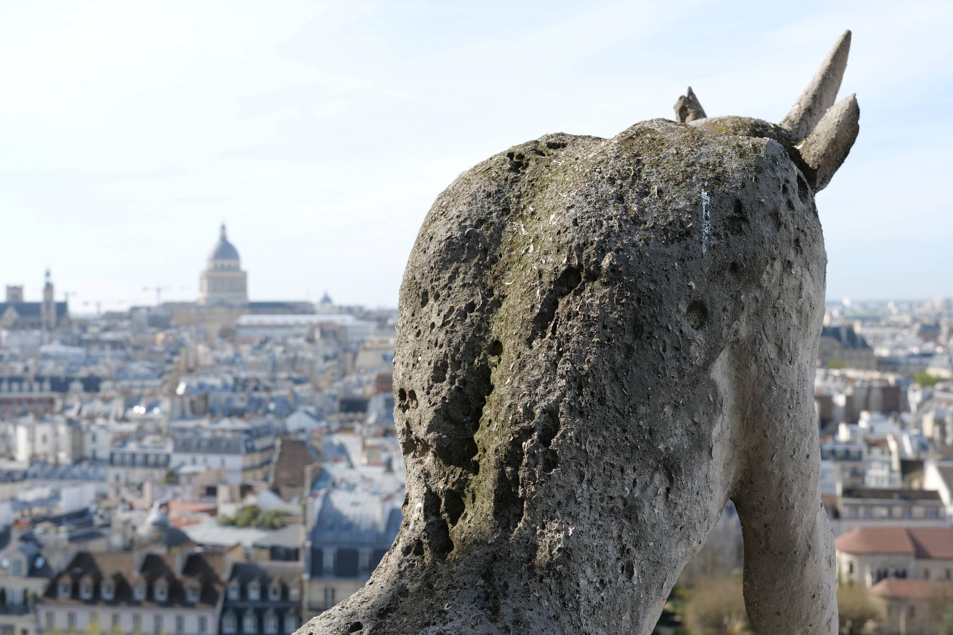 Romaric Toussaint © Rebâtir Notre-Dame de Paris PROM2738.jpg