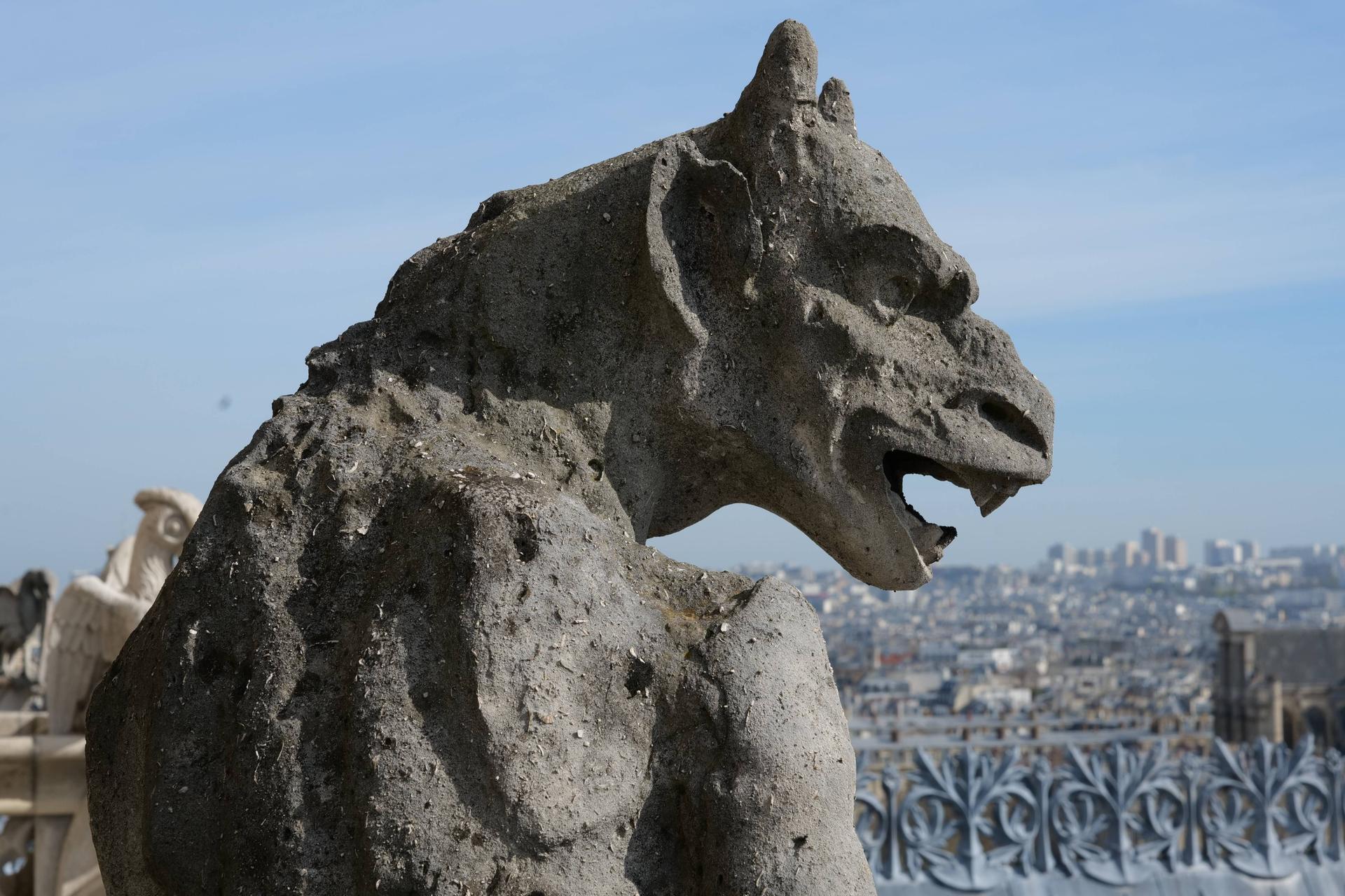 Romaric Toussaint © Rebâtir Notre-Dame de Paris PROM2795.jpg