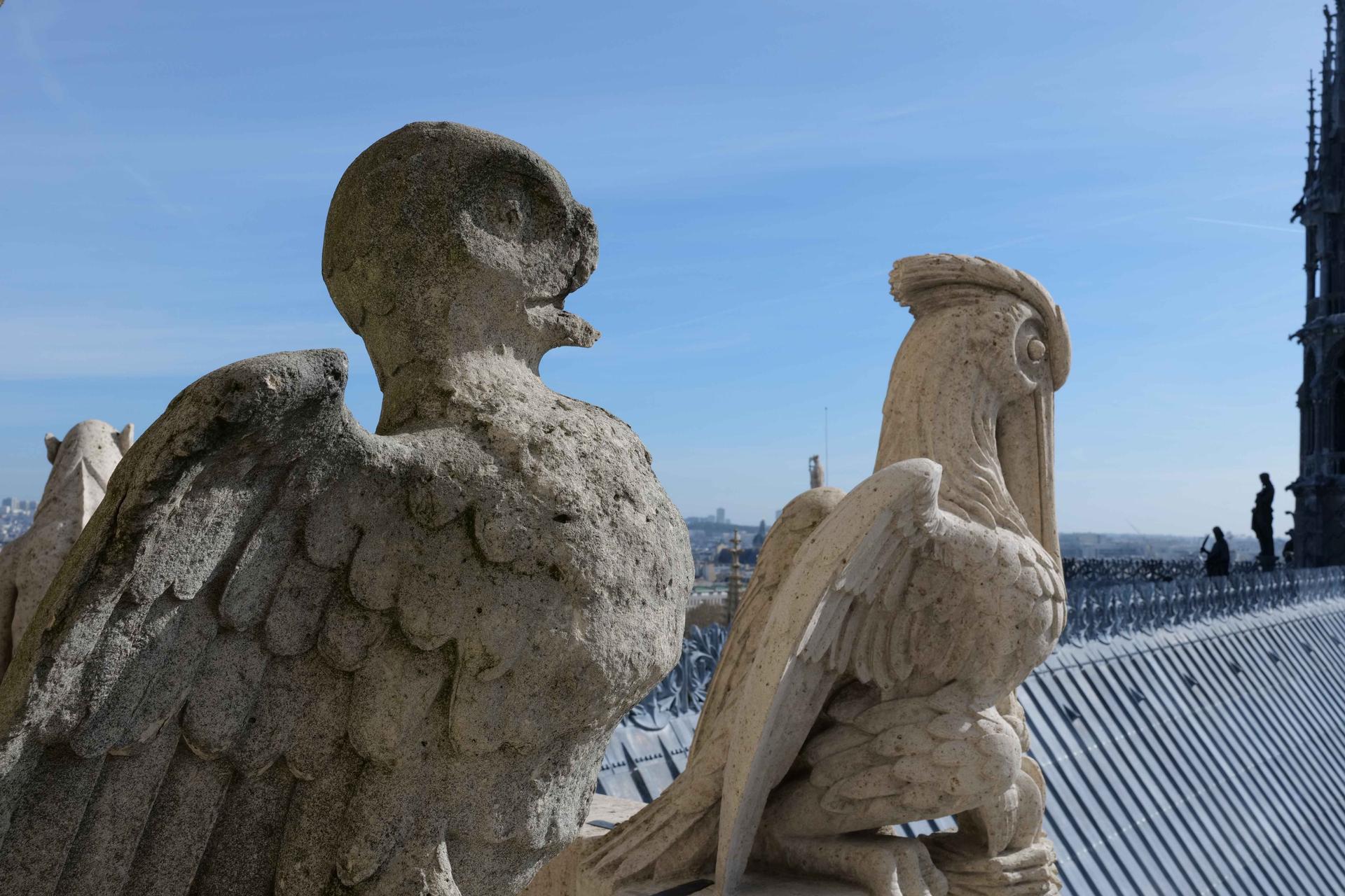 Restauration des tours et leurs chimères / Romaric Toussaint © Rebâtir Notre-Dame de Paris PROM2810_3_11zon.jpg