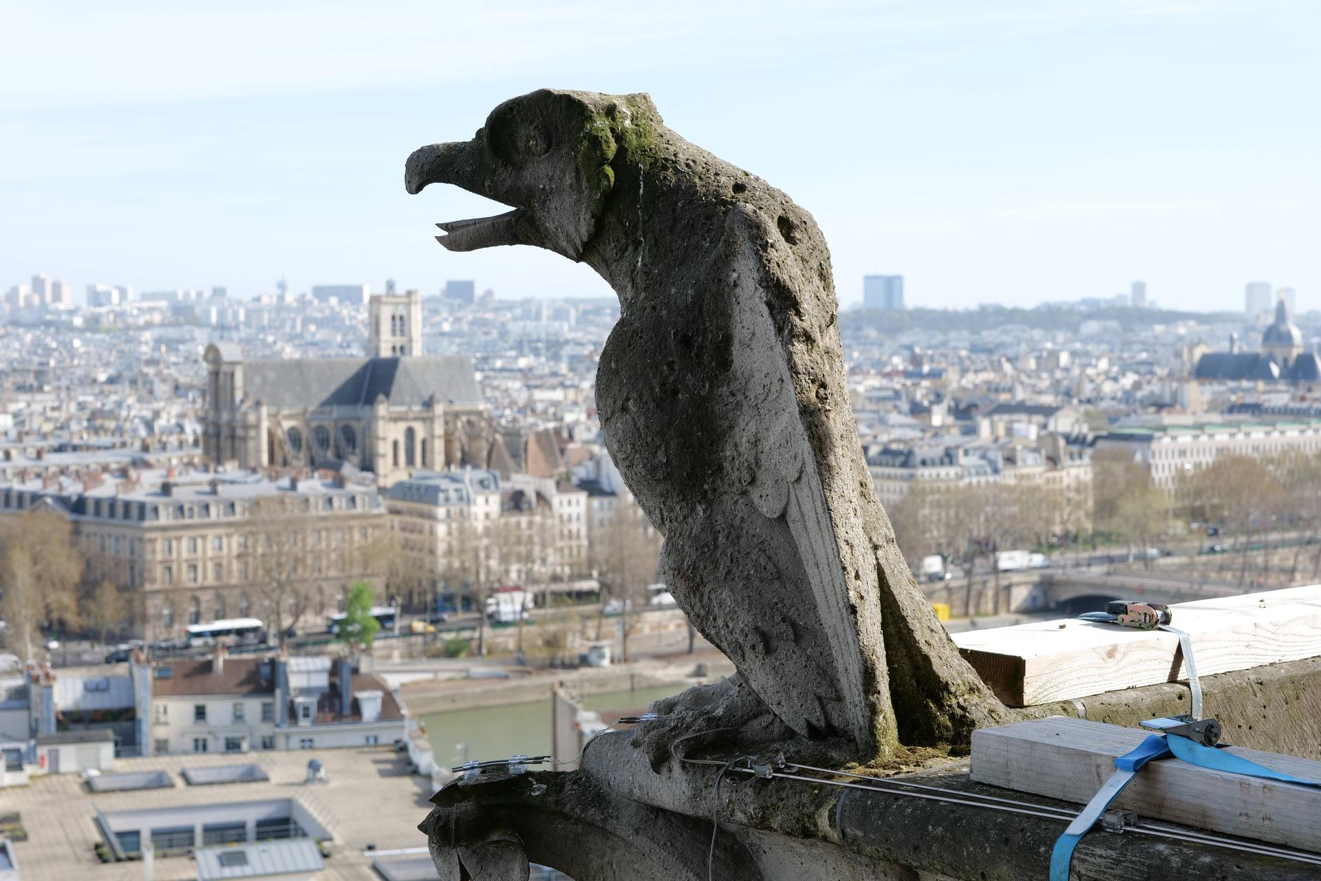 Romaric Toussaint © Rebâtir Notre-Dame de Paris PROM2876.jpg
