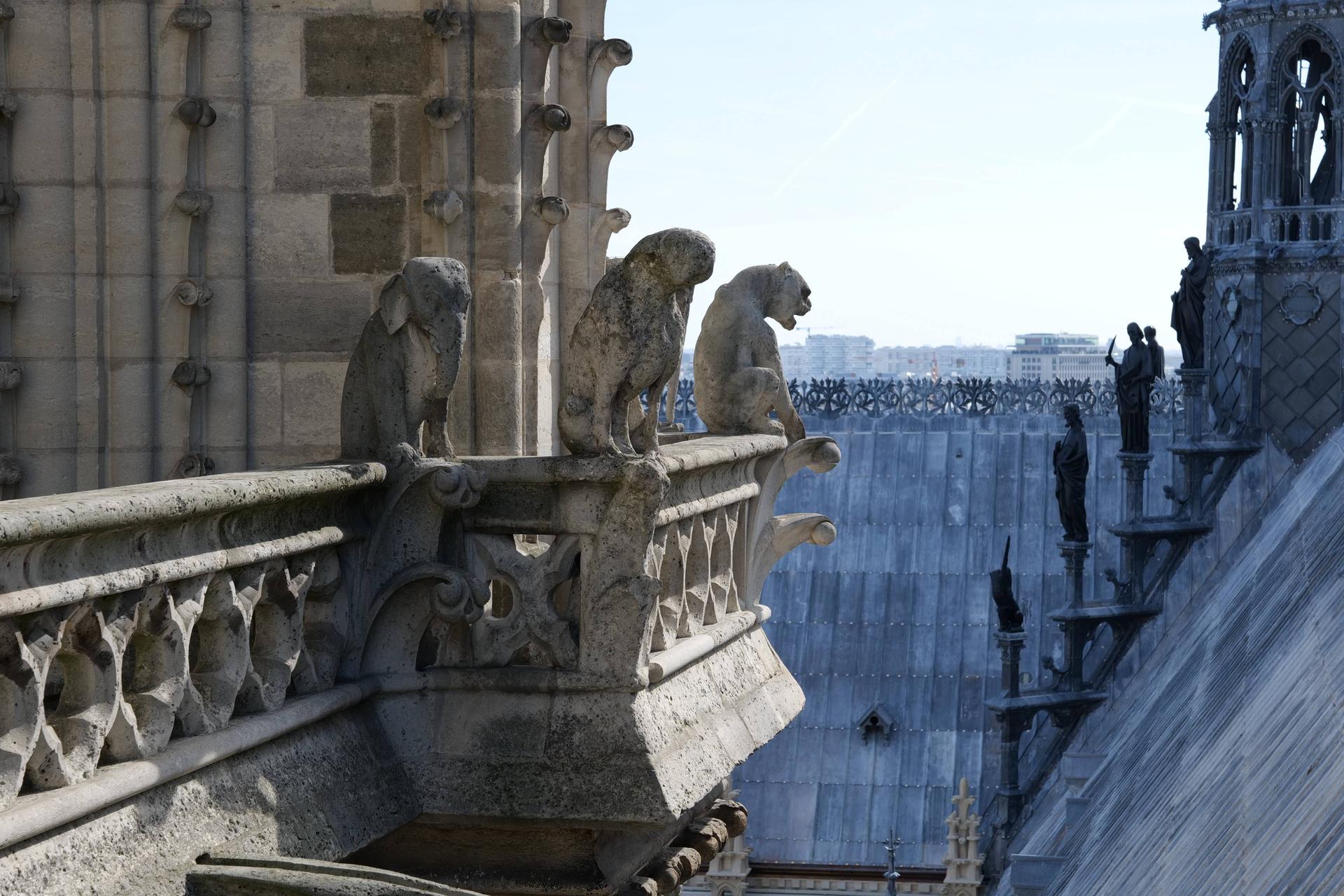 Romaric Toussaint © Rebâtir Notre-Dame de Paris PROM2929.jpg